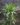 6ca8f5118adcb63f38ce9d27ecc9d9ee.png