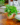 6df902be48d9e8a3f1cc0b94a37d145b.png