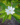 71a13cd3c915749fcaba50b3a61f4ea8.png