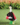 7c9436ae30cb1568037c876be2b64317.png
