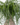 7cb63cd277ae3d001e9a60f194412f46.png