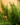 7e2f9cc576bf0c5c60e09f065391d317.png