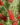 93ec3aa0a739a8dbf0bc6164b79039e4.png