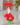9ad6a01c20269bb333fb7503f9186409.png