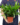 9bf73cc64111b7167efbc877ded3719e.png