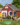 9c39cff74b875f750bfeef80901b8c26.png
