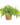 a43ff8fe0ba77c6112d9a3584e48e55d.png