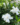 a7d316241140fa04c46a54e20ae13aac.png