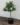 afc29c8483d3fc28c49623e3681a434e.png