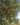 b7cf45db765e753484b5040e0f0f3650.png