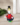 c0e8930ae7982109e728051e1f9019ed.png