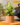 c855fc0312a6923a2b43ff8183903b36.png