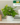 c9bb4cc98bf1f21d70eb1d57c4e8d718.png
