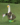 cccf805a506669384d7e5b393570ddbf.png