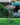 d04fe15648d3eeab236f1436e84457d9.png
