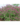 e05a6b53edf54b070afaca21cabc5b23.png