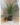 f1be88072df46a6831c38d66266de9ef.png