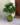 f7c50d3cb99d18caf30b22e96d58c58c.png