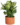 fbd92c6a5edbf285bacb89e2bd5e2ffe.png